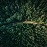 Biomass: el satélite de la ESA que medirá el carbono de los bosques ya está en órbita